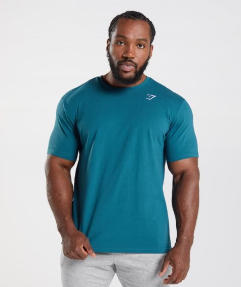 Men's Gymshark Crest T-Shirts Turquoise | NZ 2MWSFN